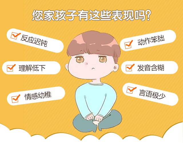 智力评估